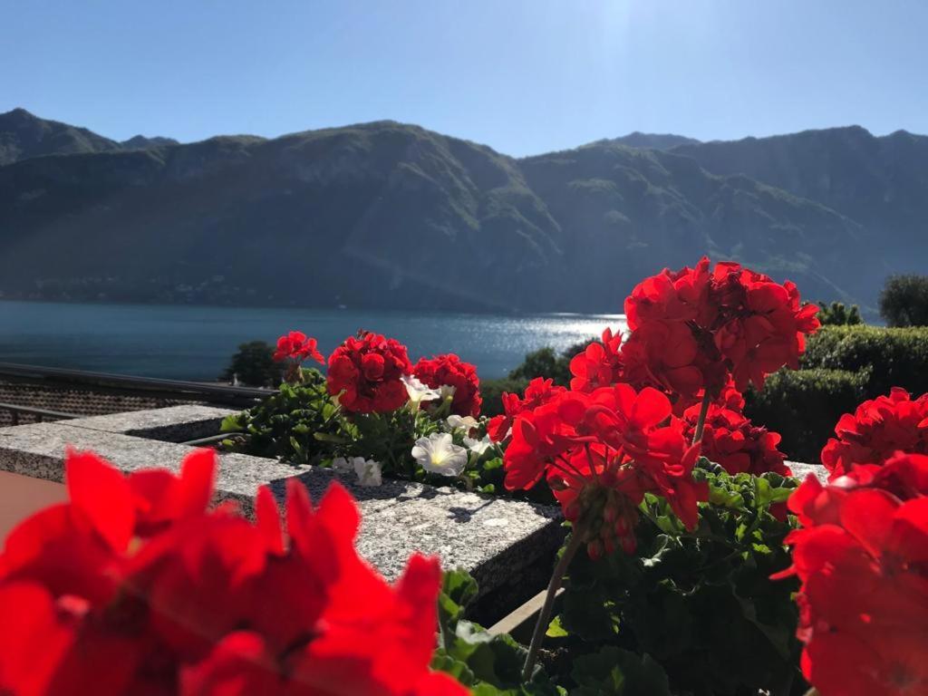 Angelina'S House With Lake View - Bellagio Extérieur photo